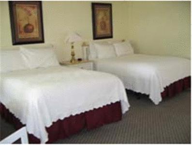 Capewind Waterfront Resort 팔머스 외부 사진